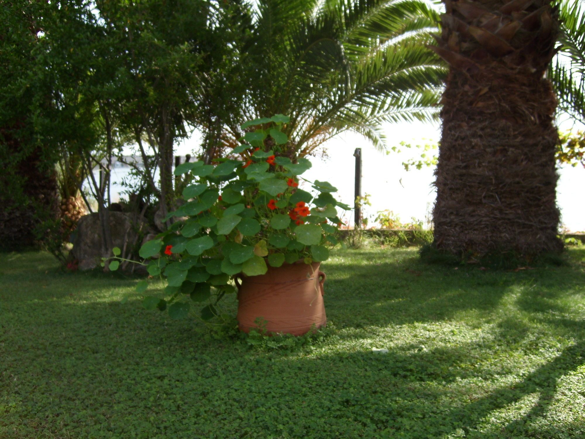 Karvounoskala Appartement