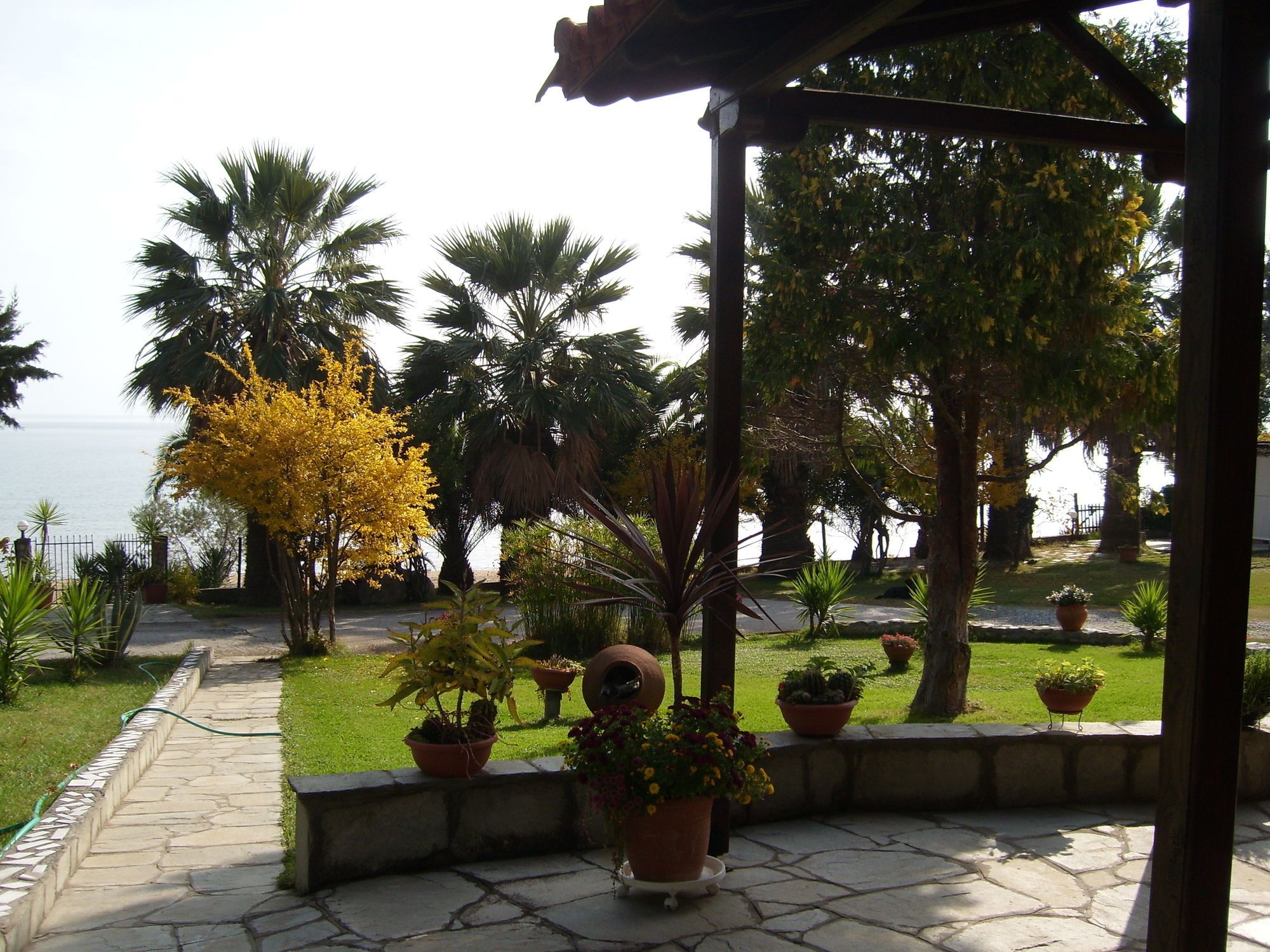 Karvounoskala Apartment *